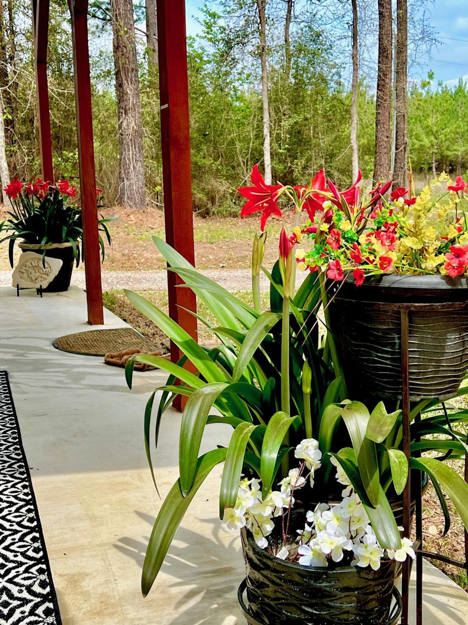 A Tranquil Retreat Loaded With Ambiance! Sleeps 10 Villa Platt Exteriör bild
